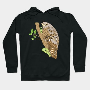 Frogmouth Hoodie